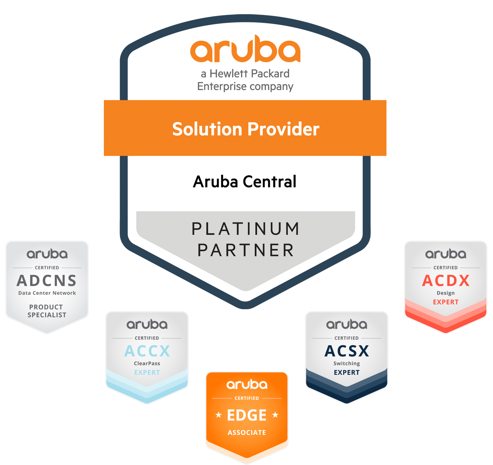 Aruba Platinum Partner Badge